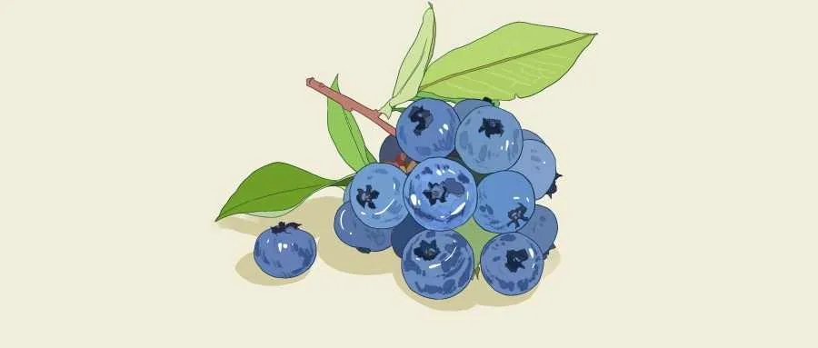 蓝莓叶黄素的作用