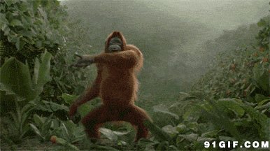 为什么很多人看不到杨振宁的功劳，偏偏喜欢关注学术之外的方面？