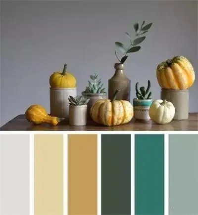 颜色搭配（一）