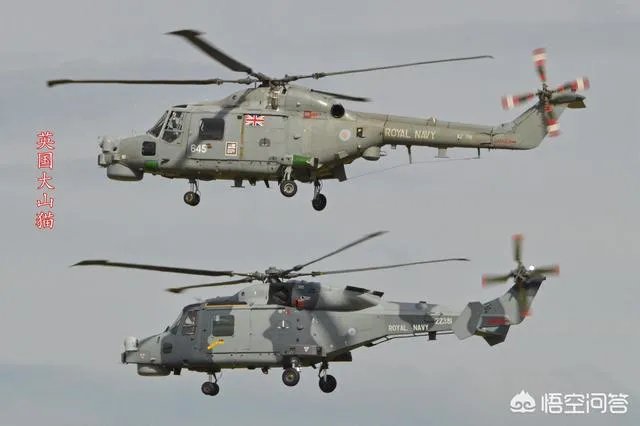 中国山猫直升机