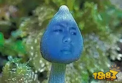 蓝瘦香菇什么意思 蓝瘦蘑菇是什么梗