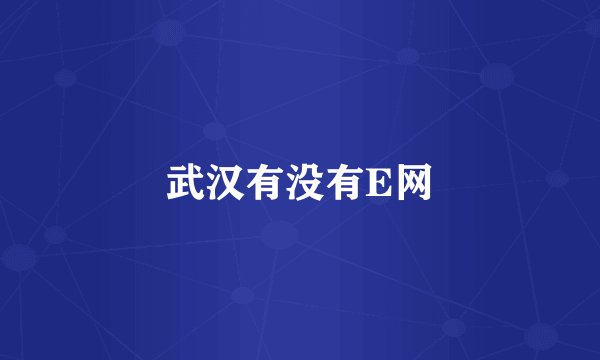 武汉有没有E网