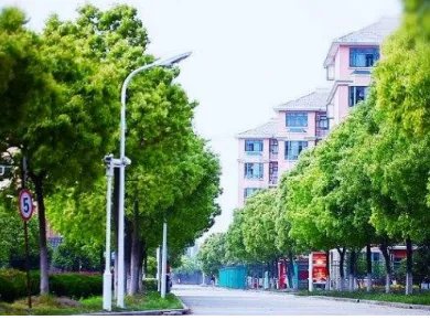 300分左右可以上什么大学