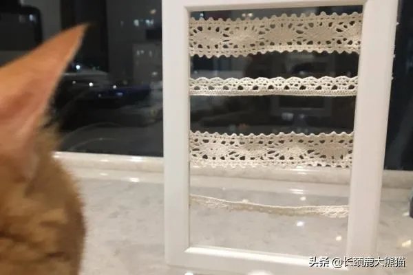 如何自制耳环|DIY自制耳环架？