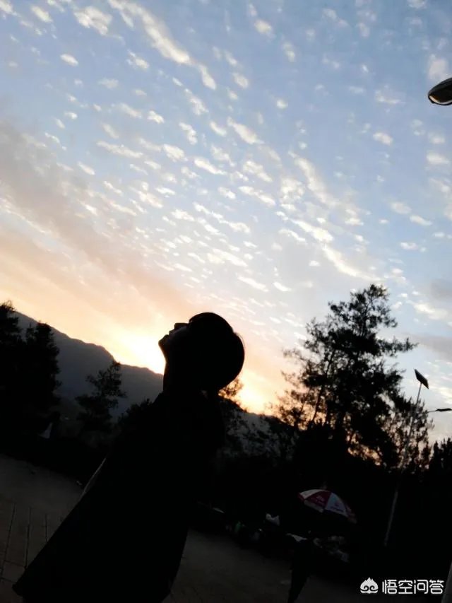 想学习摄影,去培训机构好还是自学好?