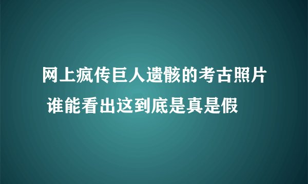 网上疯传巨人遗骸的考古照片 谁能看出这到底是真是假