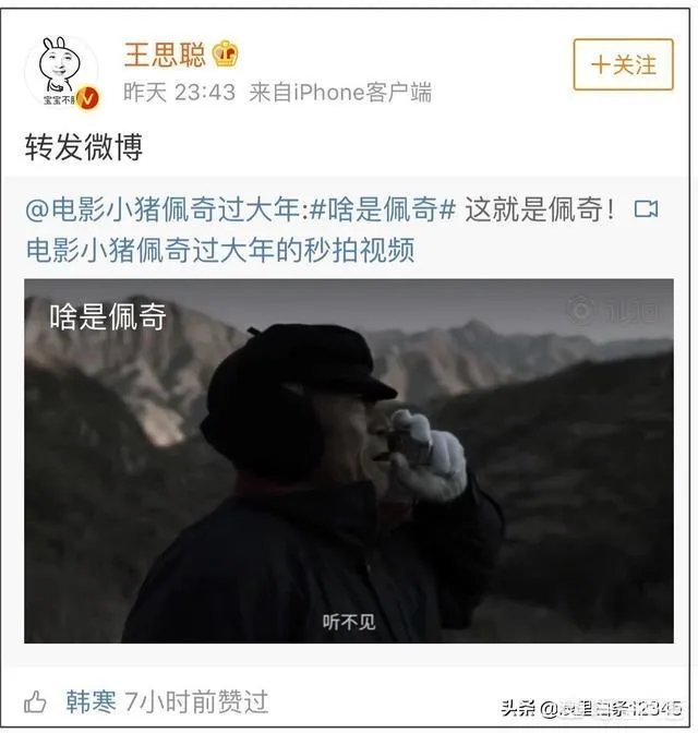 你看了《啥事佩奇》有回农村过年的冲动吗?