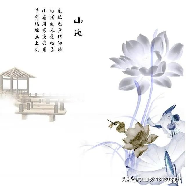 古诗《小池》里晴柔是什么意思？