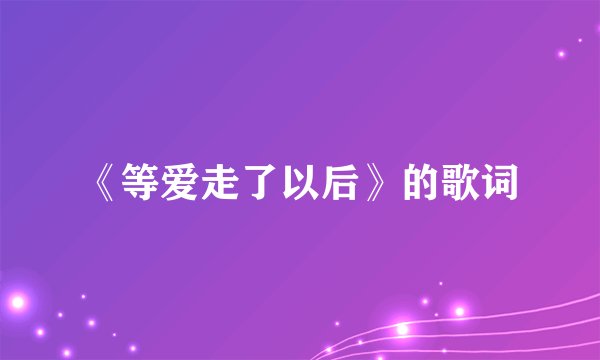 《等爱走了以后》的歌词