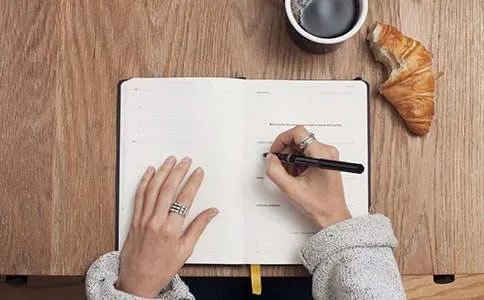 借景抒情的作文