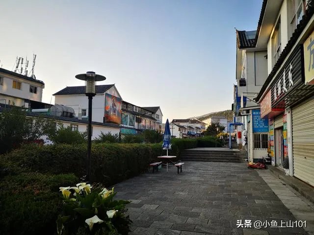 大理大学的樱花真的很多吗？好看吗？