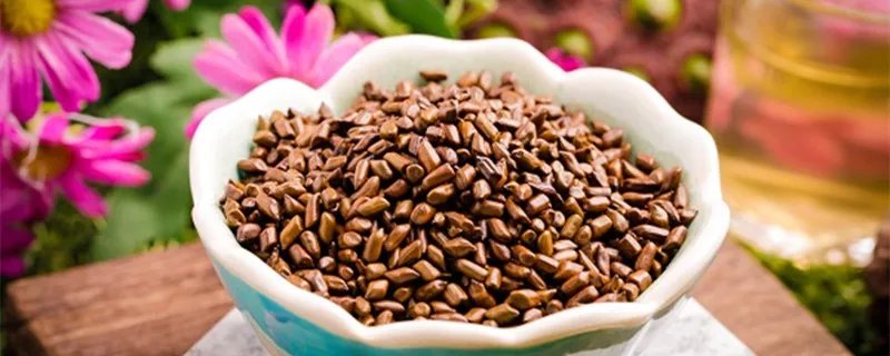 苦丁茶属于什么茶 苦丁茶属于什么茶系