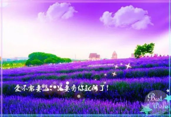 秦戈月半夏小说 秦戈月半夏赘婿奶爸崛起免费阅读