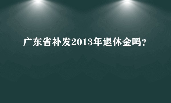 广东省补发2013年退休金吗？