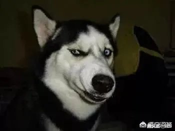 为什么很多人看不到杨振宁的功劳，偏偏喜欢关注学术之外的方面？