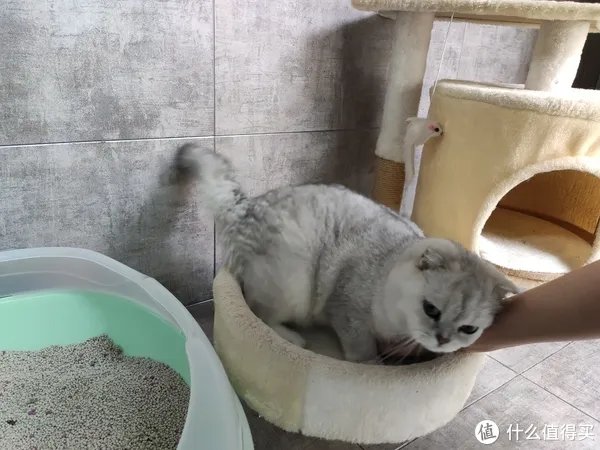 北斗星集成灶怎么样