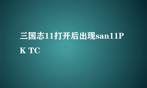 三国志11打开后出现san11PK TC