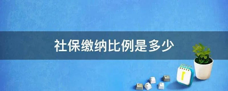 社保缴纳比例是多少