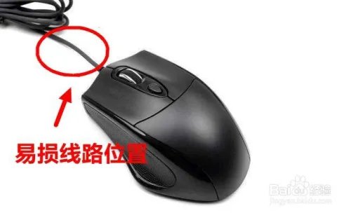 鼠标不动了怎么办 鼠标不动的原因与排除方法