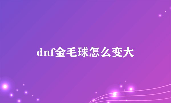 dnf金毛球怎么变大