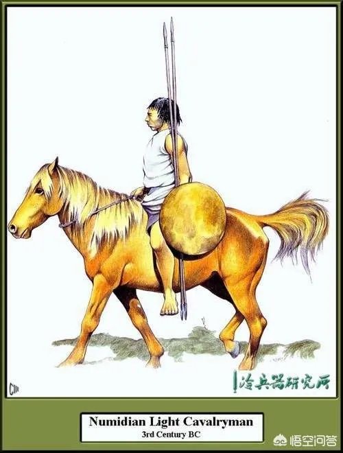 真正历史上，三国有没有骑兵？