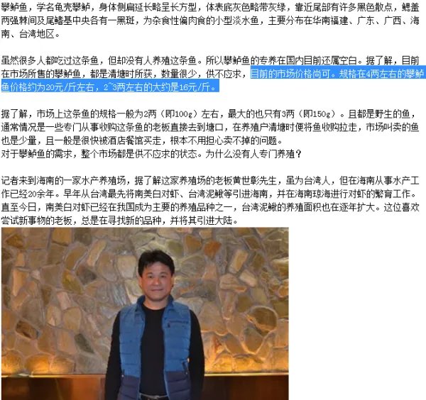 攀鲈鱼多少钱一斤？？？？？？？？？？