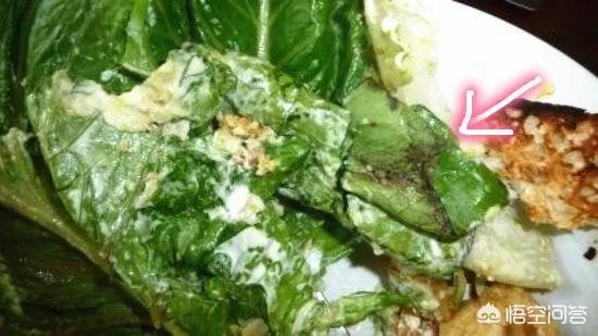 特朗普为什么要在国宴上命令蒂勒森吃烂沙拉？