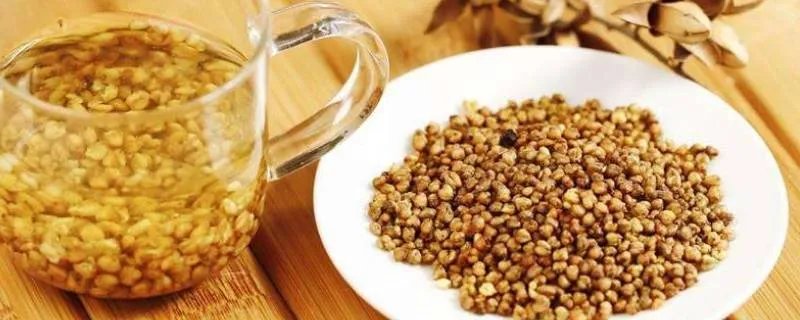 荞麦茶的功效与作用