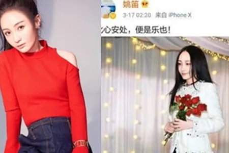 姚笛深夜会男友 甜蜜相拥很恩爱