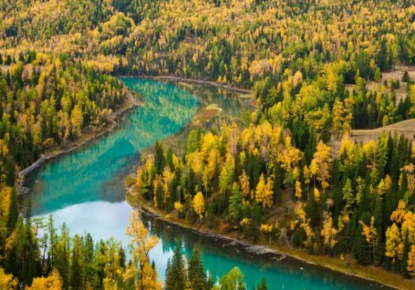 独立寒秋，湘江北去，橘子洲头对应原文是什么？