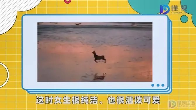 乙女是是什么意思