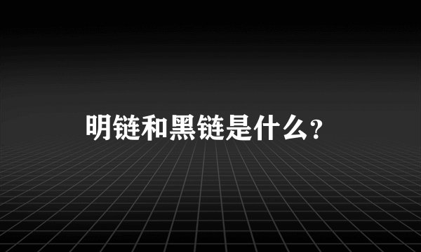 明链和黑链是什么？