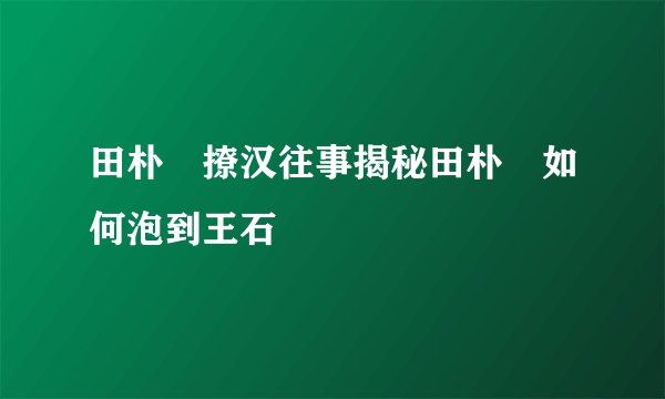 田朴珺撩汉往事揭秘田朴珺如何泡到王石