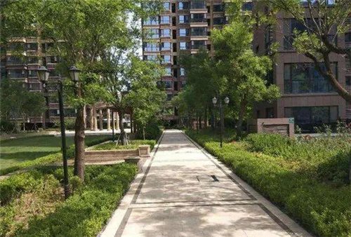 潍坊图兰朵小区位置在哪