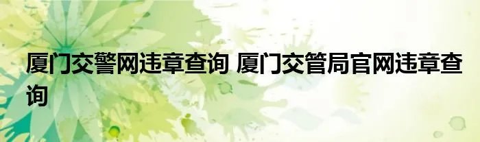 厦门交警网违章查询 厦门交管局官网违章查询