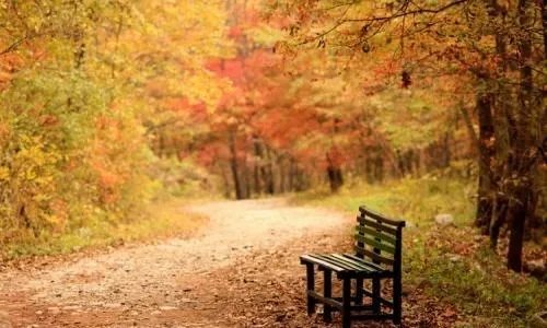 关于秋天的歌曲有哪些