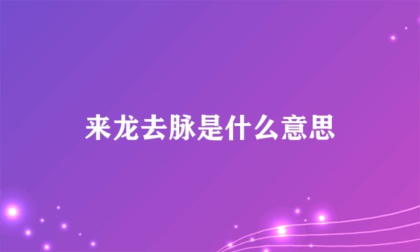 来龙去脉是什么意思