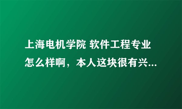 上海电机学院 软件工程专业怎么样啊，本人这块很有兴趣，分数正好够到这里