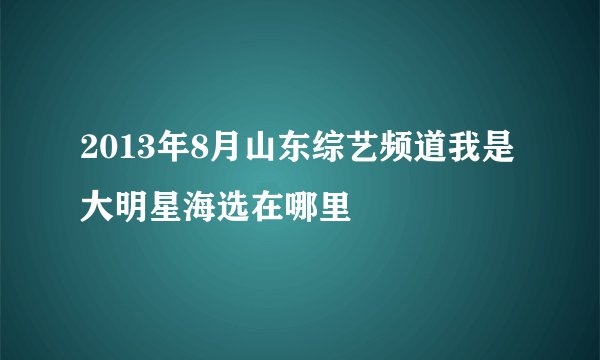 2013年8月山东综艺频道我是大明星海选在哪里