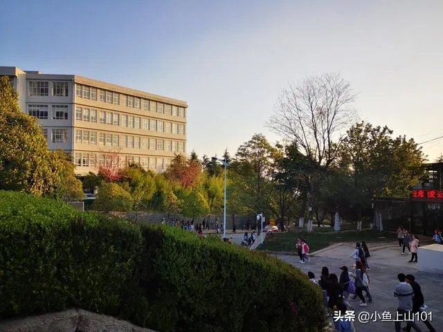 大理大学的樱花真的很多吗？好看吗？