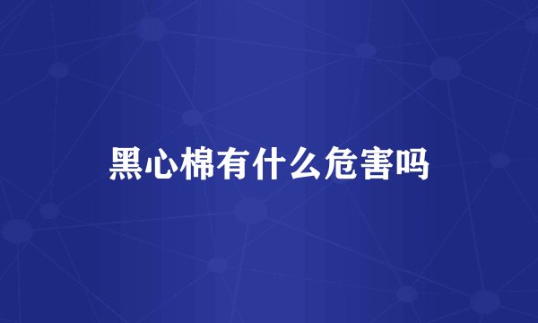 黑心棉有什么危害吗