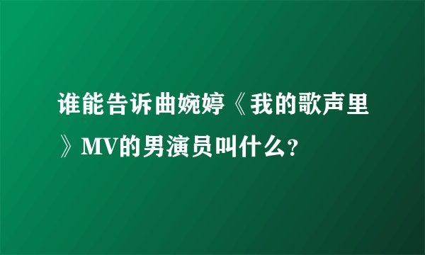 谁能告诉曲婉婷《我的歌声里》MV的男演员叫什么？