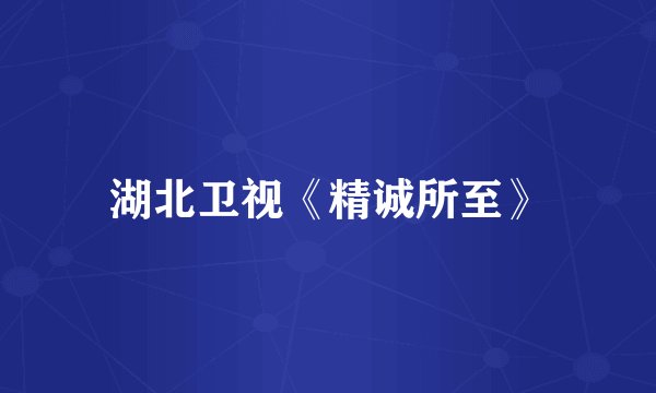 湖北卫视《精诚所至》