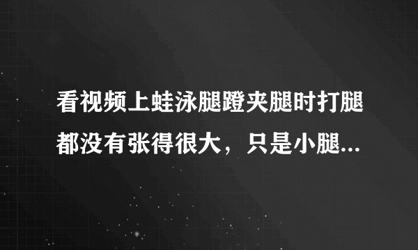 看视频上蛙泳腿蹬夹腿时打腿都没有张得很大，只是小腿动，但我们教练说大腿要张到最大踢，到底哪个是对的？