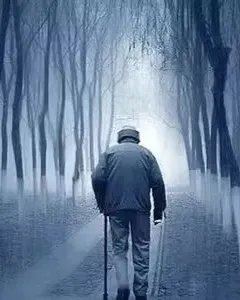 孔雀鱼怎么分辨公母