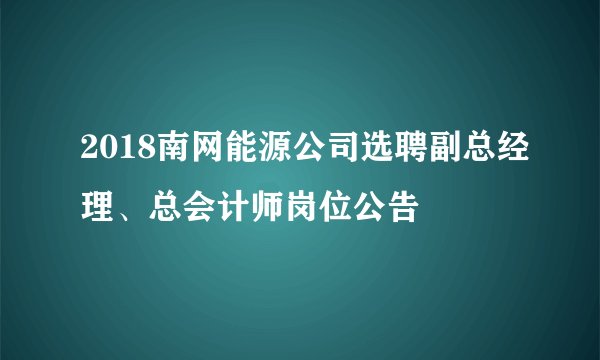 2018南网能源公司选聘副总经理、总会计师岗位公告