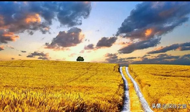 体面吉他简单谱凡人歌