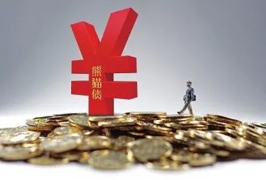 熊猫债规定了什么？