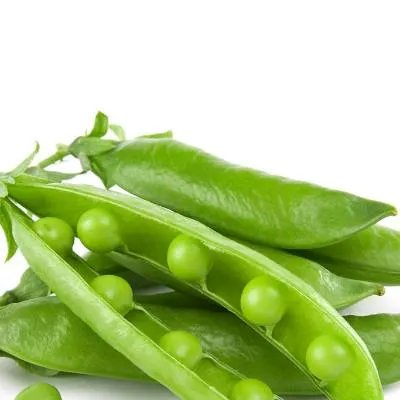 土豆发芽还能吃吗