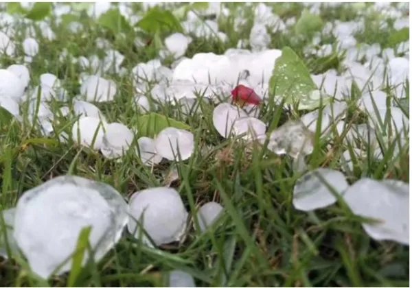 冰雹的雹的拼音